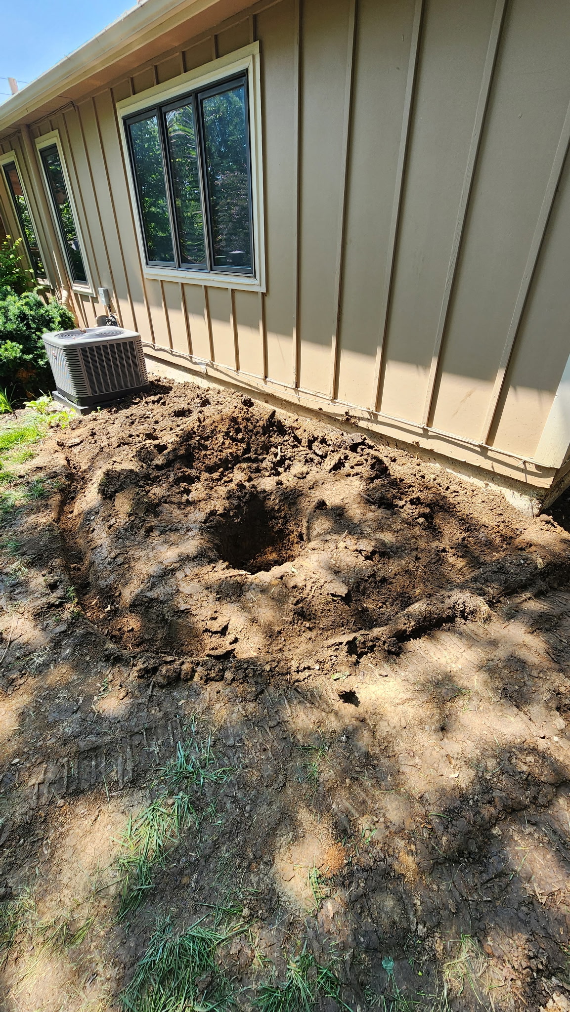 Before view of Landscaping Transformation