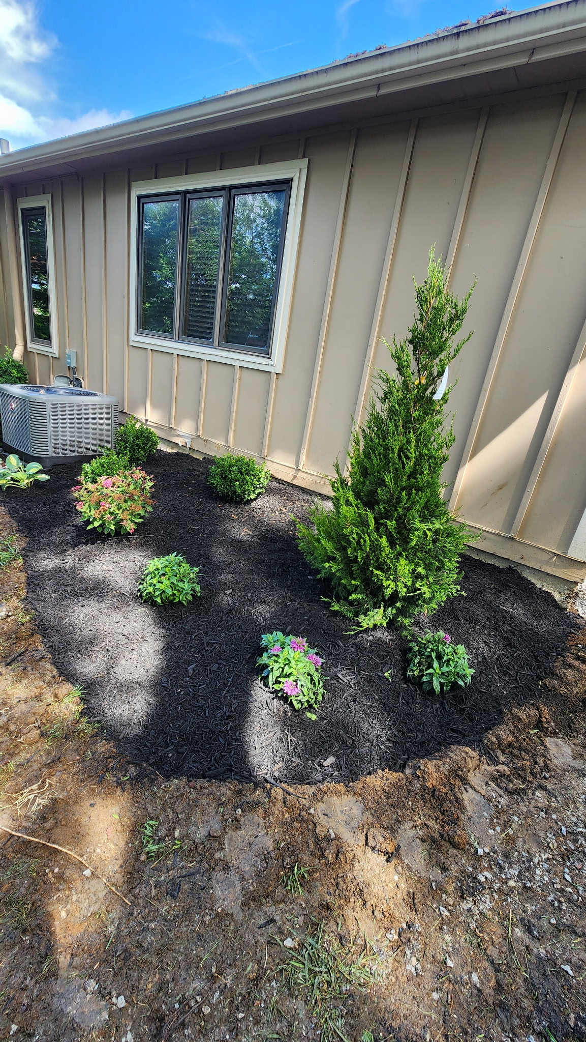 After view of Landscaping Transformation